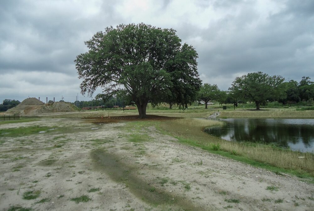 REI Site Prep Begins, Public Park & Pond Work Continue at the BullStreet District