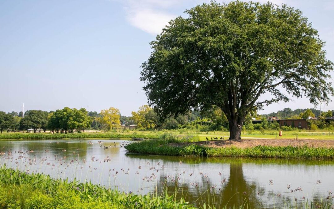 New openings signal growth at BullStreet as district faces pandemic challenge