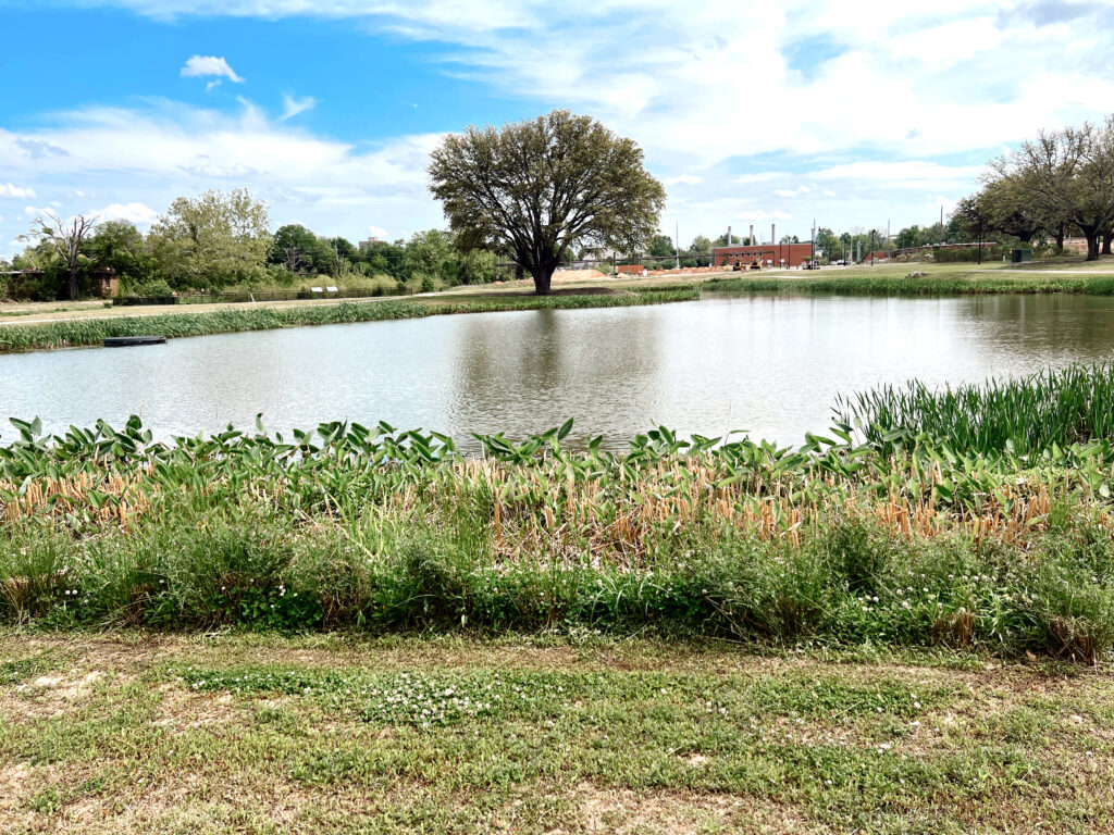 Pond at Page Ellington Park