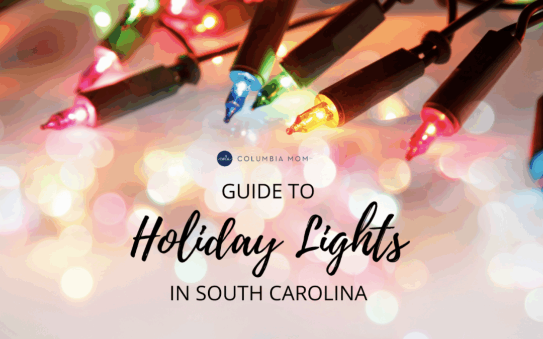 Guide to Holiday Lights in South Carolina