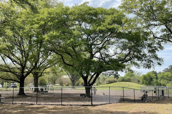 Dog-Park-600x400-c-default Dog-Park-600x400-c-default