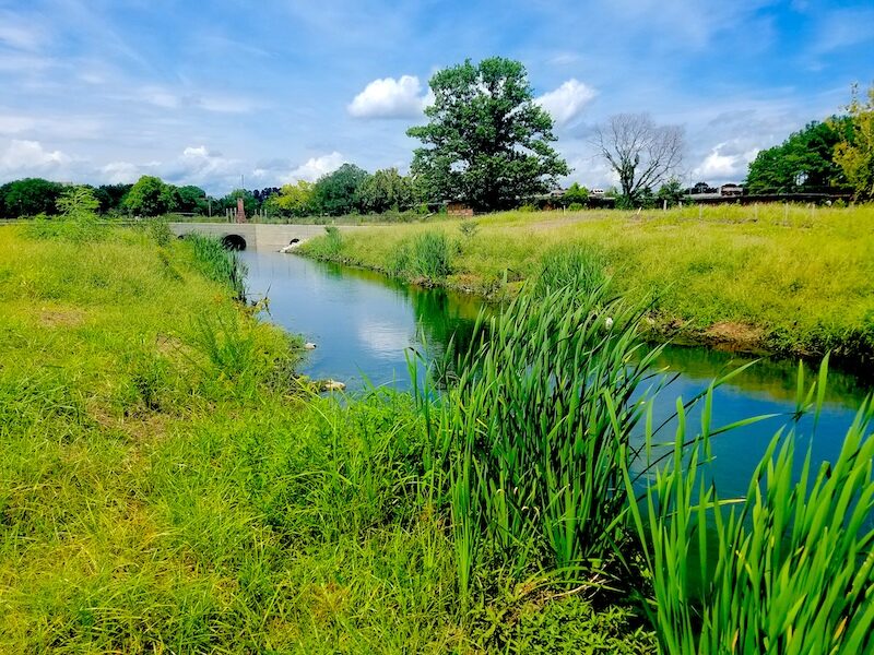 Smith-Branch-Creek-low-res-800x0-c-default Smith-Branch-Creek-low-res-800x0-c-default